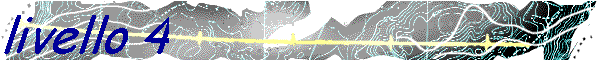 livello 4